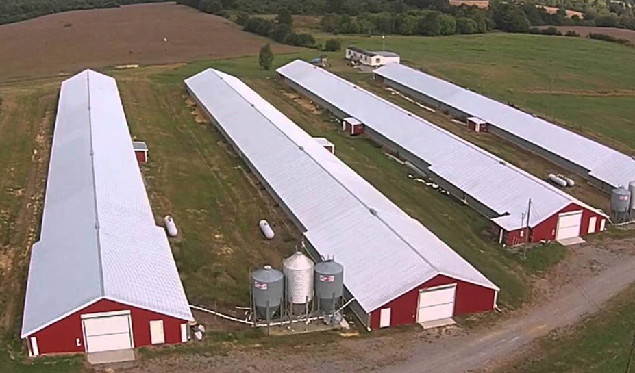 Steel Poultry House