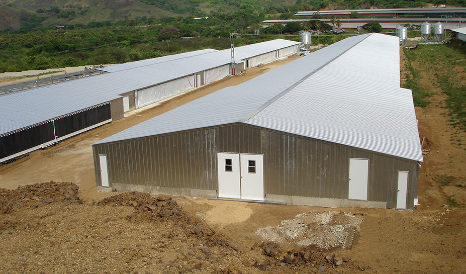 Steel Poultry House