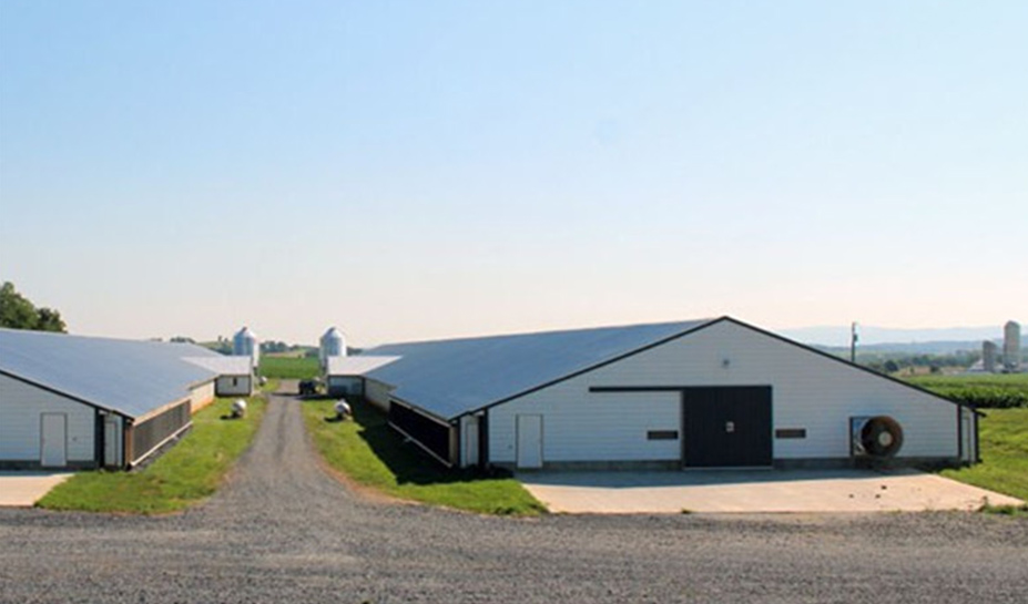 Steel Poultry House